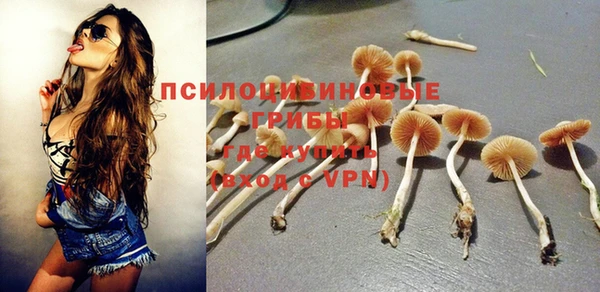 твердый Алзамай