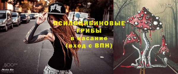 соль ск Алексин