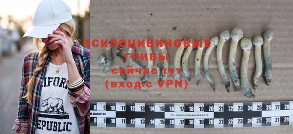 соль ск Алексин