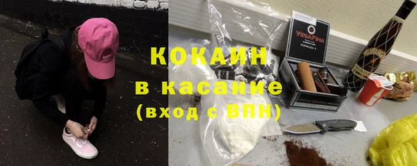 твердый Алзамай